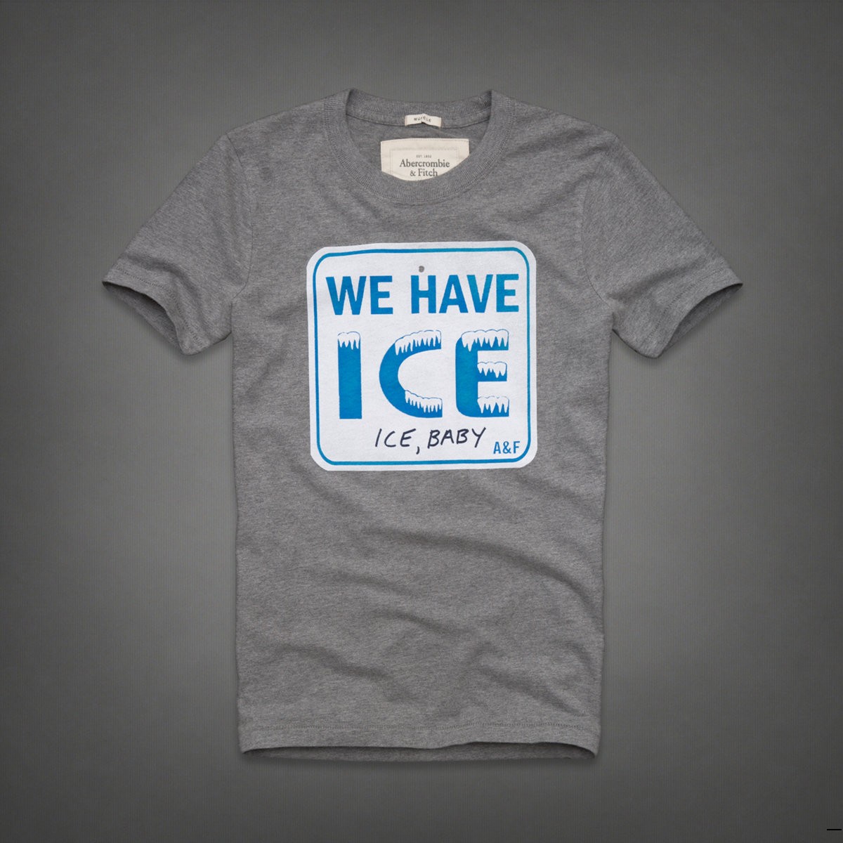 Abercrombie Fitch Hombres De Cuello Redondo Corto Remera AF5414